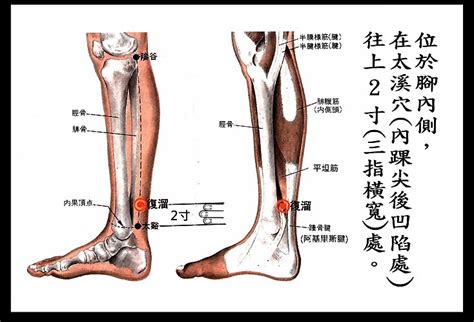 富溜穴